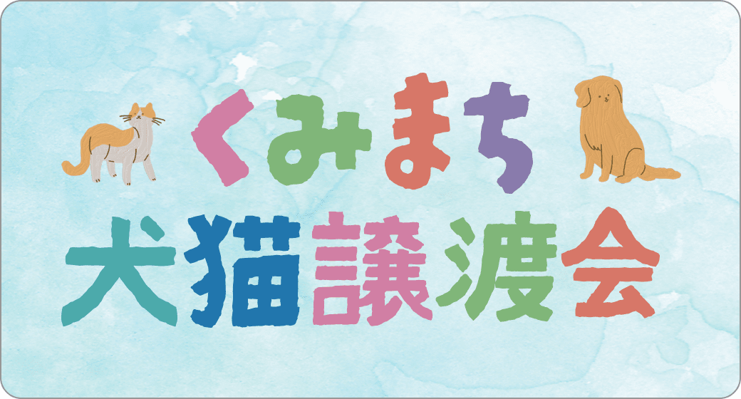 くみまち犬猫譲渡会