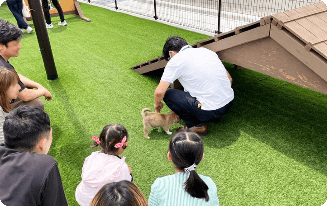 子犬と戯れる人